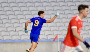 Brian Hayes was awesome, he'd be on any inter-county panel