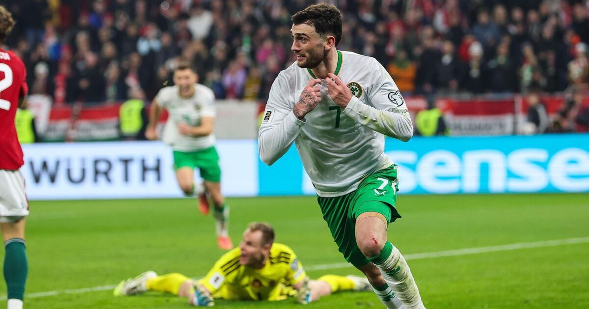 Top dogs on either side of World Cup draw, Ireland in pot 4