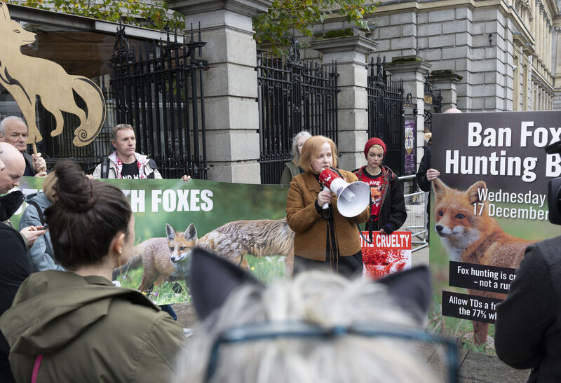 Ruth Coppinger outside Leinster House on November 12 campaigning to ban fox hunting. Picture: SAM BOAL/Collins Photos