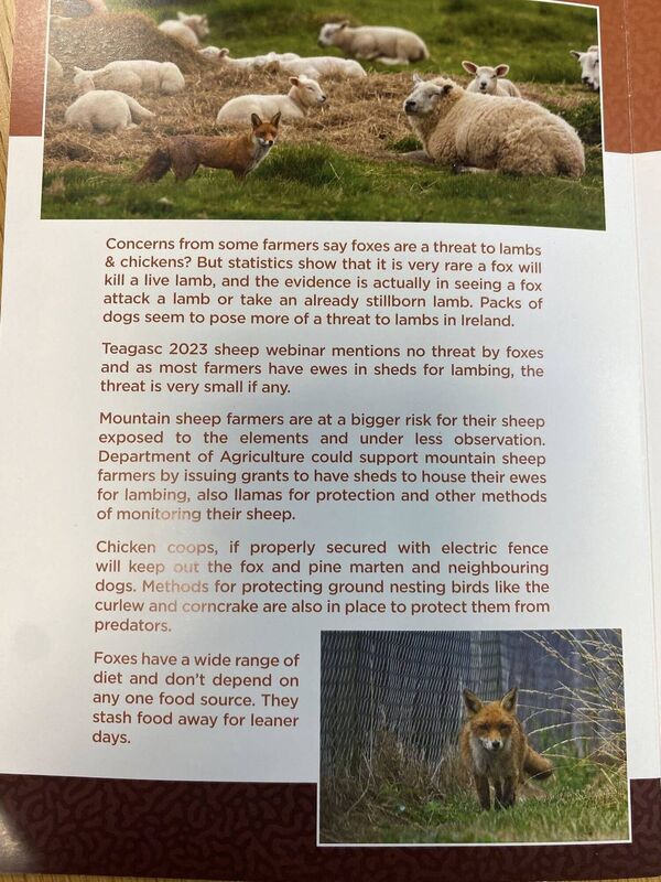 Ruth Coppinger: "Thank you to two farmers who’ve produced this beautiful booklet yet practical guide about foxes and farmers. [Facebook: Stand With Foxes]They make the point that foxes rarely kill lambs — dogs are a much bigger threat.  Lobby your TDs now to support my Bill on December 17. Protect our native species. Contact sionnachrua2050@gmail.com for more info."