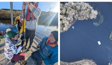 16,000 years’ worth of stories to uncover from sediment in a West Cork lake