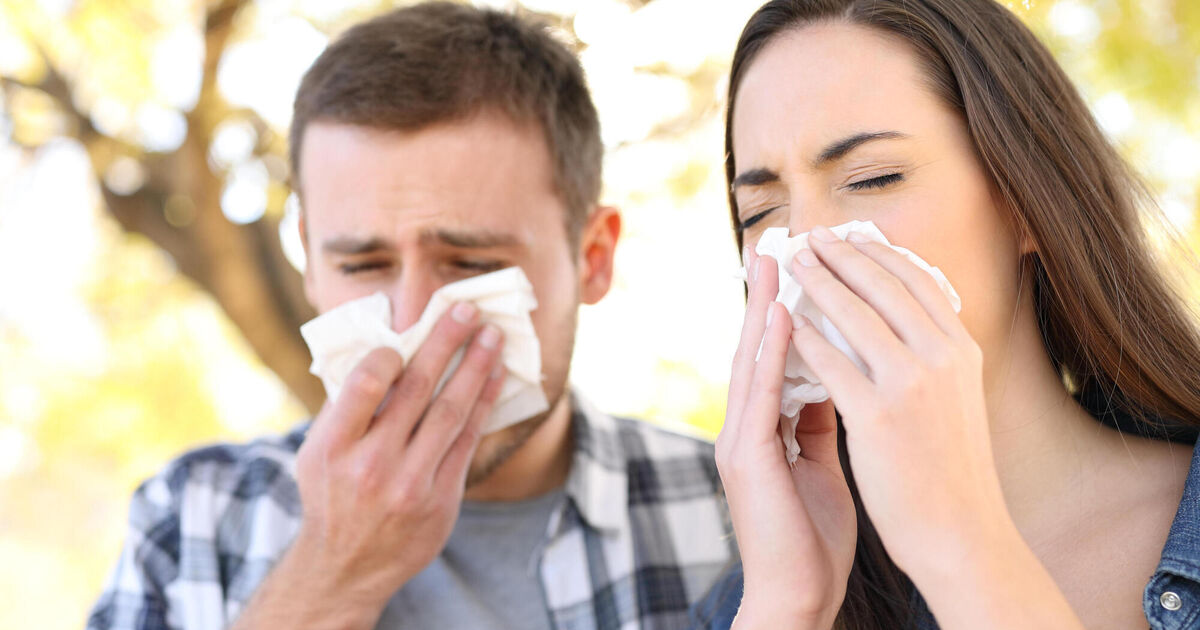 Up to 1,500 could be hospitalised with flu by Christmas week – minister