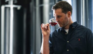 Irish online wine start-up WineSpark worth €8m in latest funding round – The Irish Times