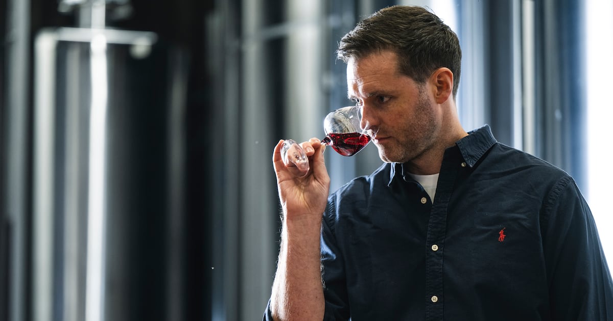 Irish online wine start-up WineSpark worth €8m in latest funding round – The Irish Times