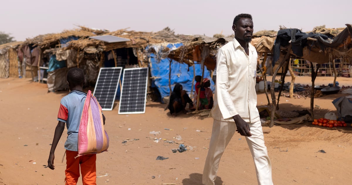 How can Ireland help to sustainably feed 10bn people and slow global warming by 2050? – The Irish Times