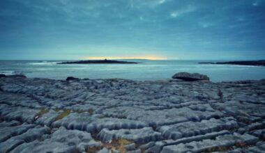 On the eve of Samhain, Ireland’s landscape and wildlife prepare for rest and a reset – The Irish Times