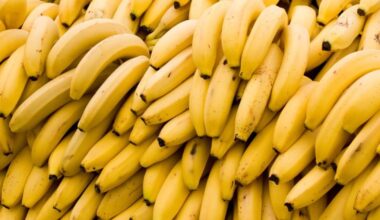 Vietnam launches emergency project to tackle TR4 banana wilt disease