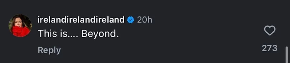 Ireland Baldwin writes "This is... Beyond" on Instagram