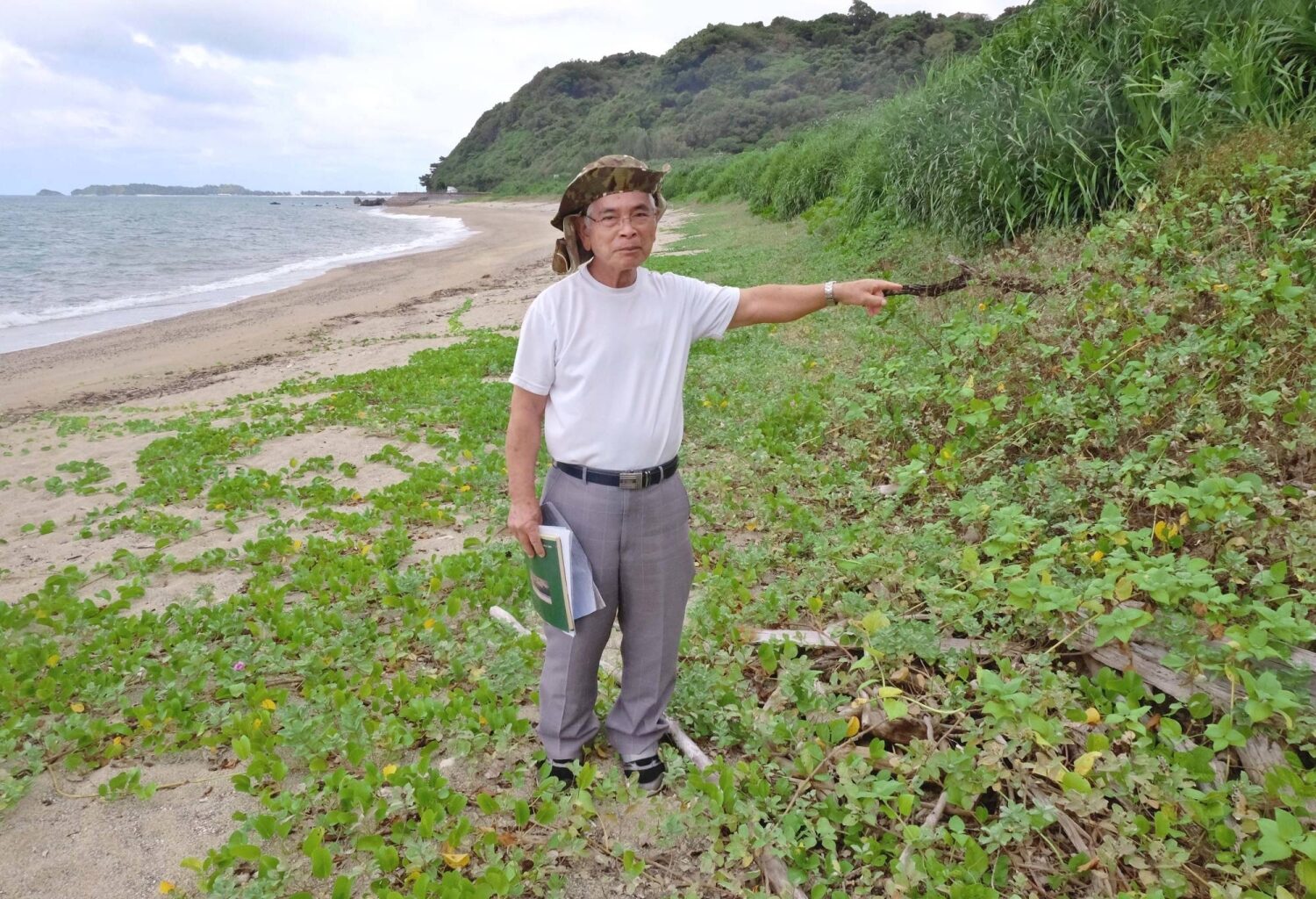 Sea turtle eggs in Okinawa being damaged by waves due to coastal erosion