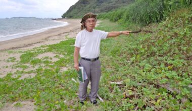 Sea turtle eggs in Okinawa being damaged by waves due to coastal erosion