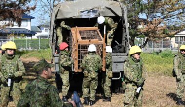 SDF to provide logistical aid for bear capture efforts