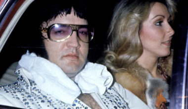 Yahoo entertainment home