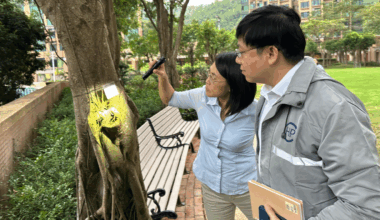 Hong Kong records third local chikungunya fever case in Tsing Yi