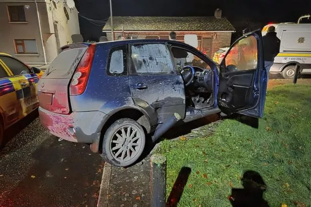 The car's driver, a man in his 20s, was arrested