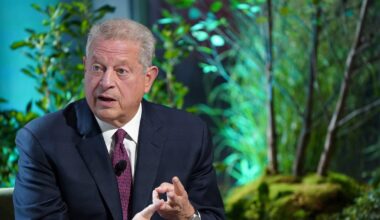 Al Gore says Donald Trump not a cause for panic – The Irish Times