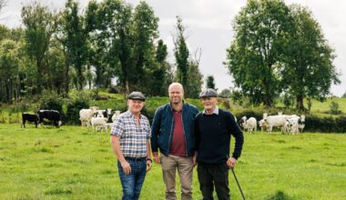 ‘It’s the most delicious beef I can get my hands on’ – The Irish Times