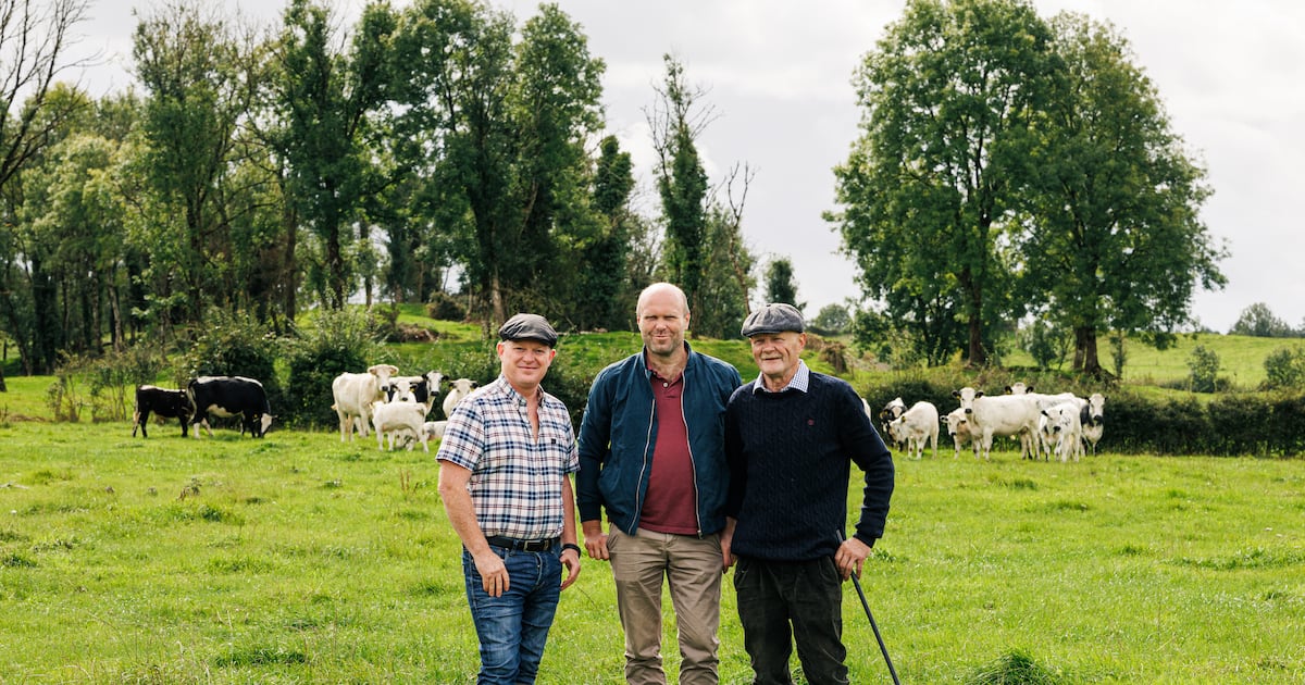 ‘It’s the most delicious beef I can get my hands on’ – The Irish Times