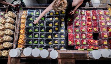 US, Japan share unorthodox anti-inflation tool – fiscal stimulus