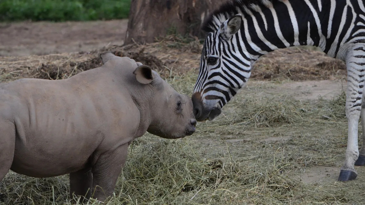 Yahoo lifestyle home