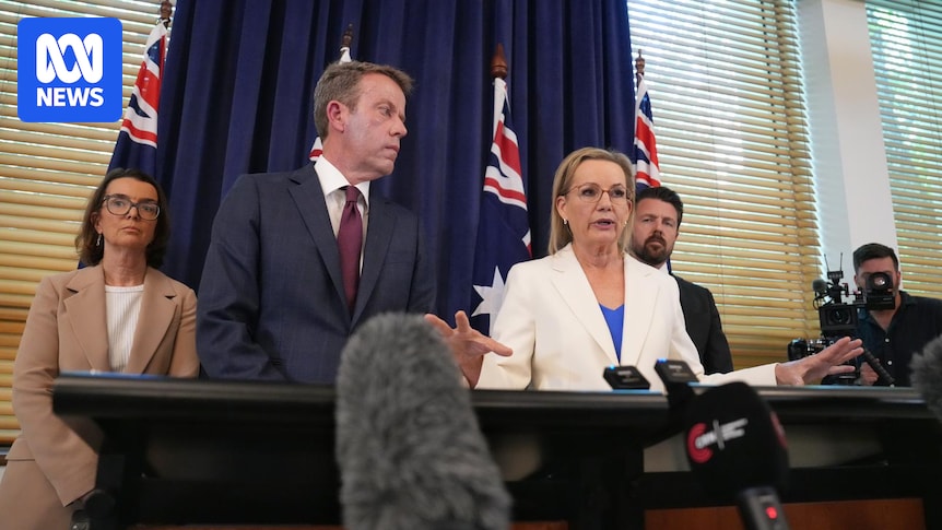 Coalition plans to strip climate from energy operator's objectives