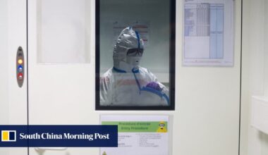 Bird flu could risk pandemic ‘worse than Covid’ if it mutates