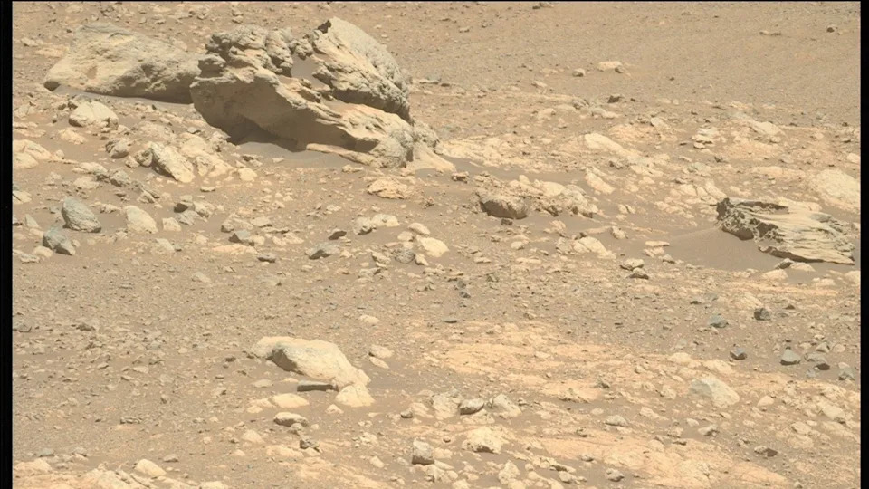 a coral-like rock on a reddish orange dusty surface