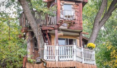 This Mount Joy Township business offers therapy sessions in a tree house [photos, video] | Local News