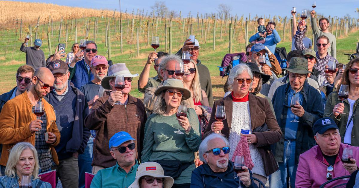 Libertytown vineyard toasts Maryland's first kosher wine - The Frederick News-Post