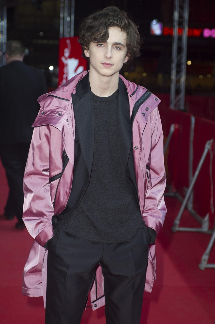 'Call me by your name' - Premiere - Arrivals Featuring: Timothée Chalamet Where: Berlin, Germany When: 13 Feb 2017
