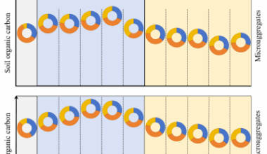 Differential effects of microplastics on soil organic carbon via lignin phenols and amino sugars in soil aggregates