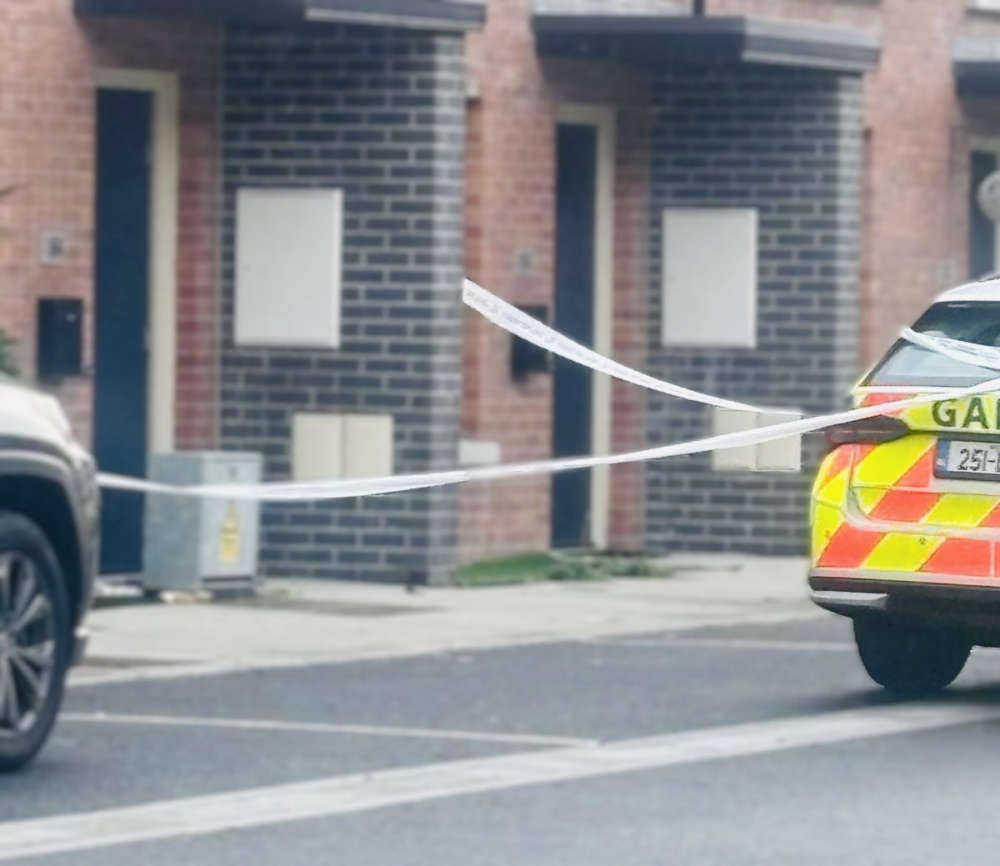 Gardaí investigate discovery of man's body in Louth