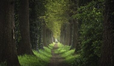 Could Psychotherapy Work by Changing How We Navigate Our Own Minds?