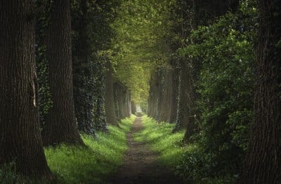 Could Psychotherapy Work by Changing How We Navigate Our Own Minds?