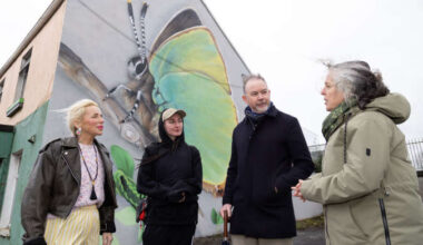 Have you spotted Limerick's latest new wildlife murals?
