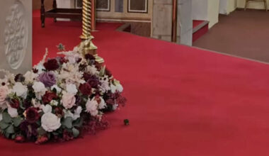 Mouse interrupts Irish wedding ceremony and leaves guests in stitches