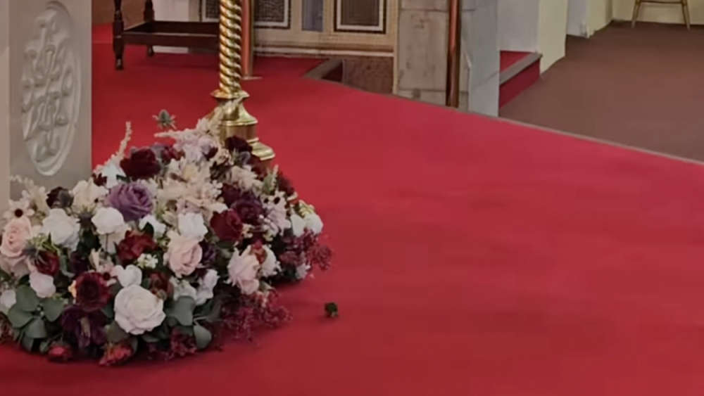 Mouse interrupts Irish wedding ceremony and leaves guests in stitches