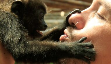 First kiss was 20 million years ago by early primates, scientists say