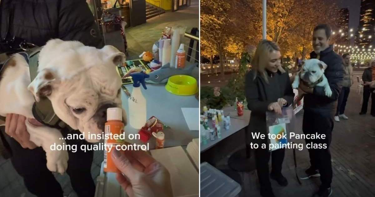 Video: Bulldog Uses Peanut Butter To Paint a Masterpiece