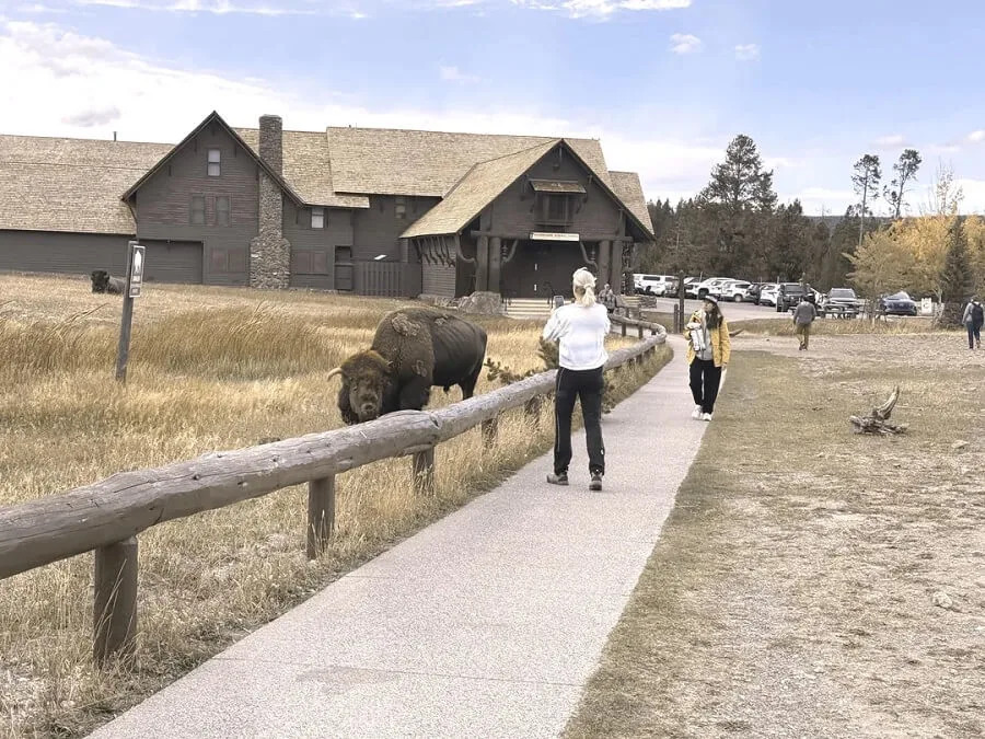 There's a popular word on the internet reserved for people who completely lose common sense while on vacation—particularly in National Parks—'Tourons'.