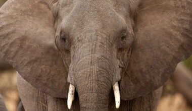 Yahoo lifestyle home