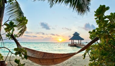 Black Friday travel deals worth looking out for – The Irish Times