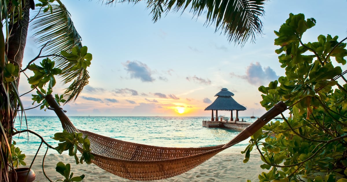 Black Friday travel deals worth looking out for – The Irish Times