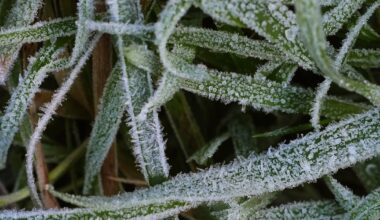 Met Éireann forecasts wet and windy weekend after low temperatures and ice warnings – The Irish Times