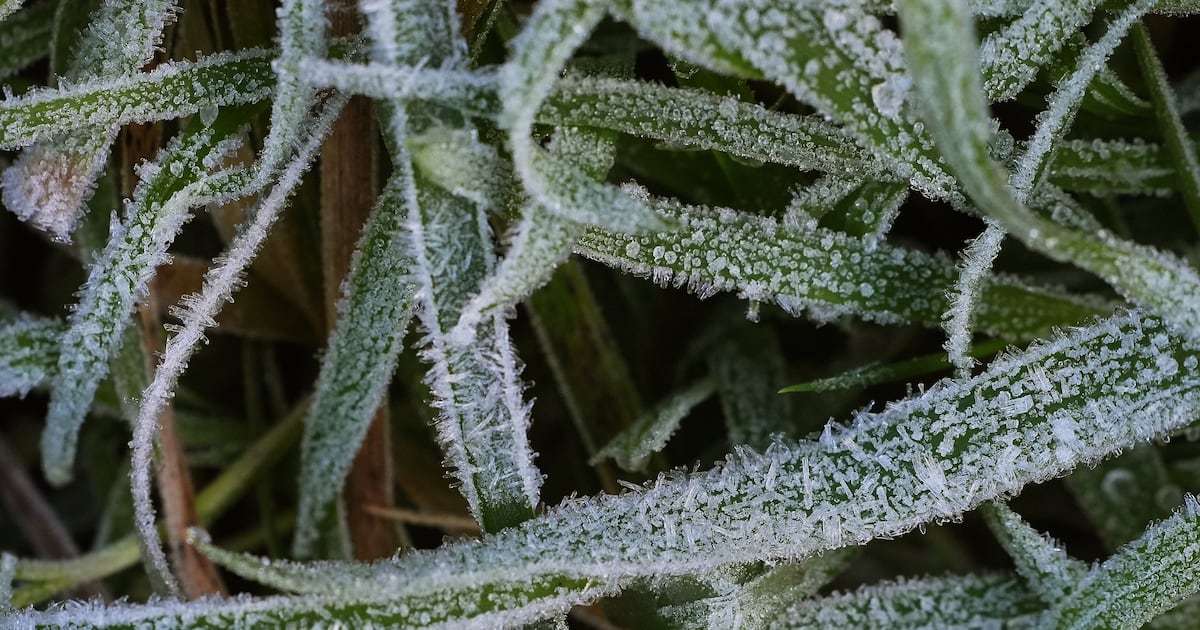 Met Éireann forecasts wet and windy weekend after low temperatures and ice warnings – The Irish Times