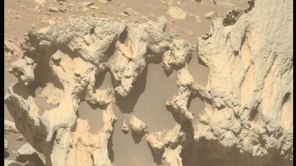  A coral-like rock on a reddish orange dusty surface. 