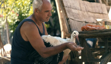 Glimpse the Year’s Most Beautiful Doc, the Latest from Oscar-Nominated ‘Honeyland’ Co-Director Tamara Kotevska