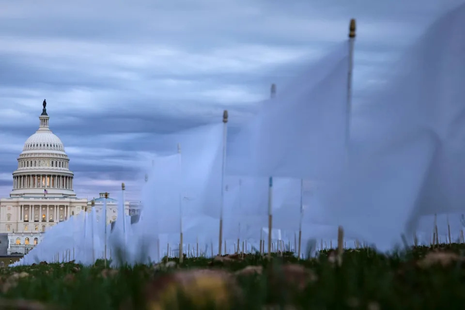 White flags are planted to commemorate lung cancer victims in Washington, D.C.,  Tuesday. Approximately 226,650 new cases and 124,730 deaths are expected across the U.S. this year (Getty Images)