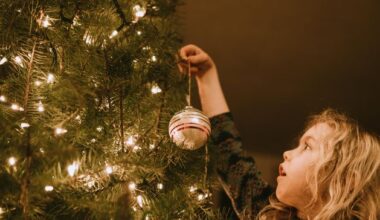 ‘I support our local Christmas tree farms’ – councillor criticises initiative ‘promoting unaffordable plastic trees’