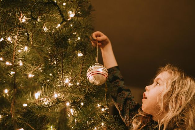 ‘I support our local Christmas tree farms’ – councillor criticises initiative ‘promoting unaffordable plastic trees’