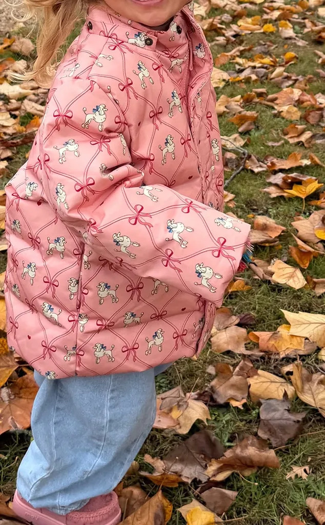 <p>Running in the Leaves</p>